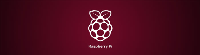 Название Raspberry Pi визуально совпадает с логотипом