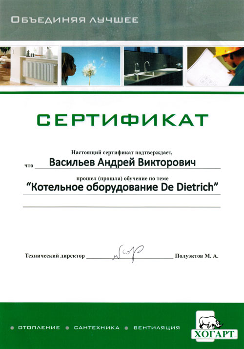 Сертификат Андрея Васильева