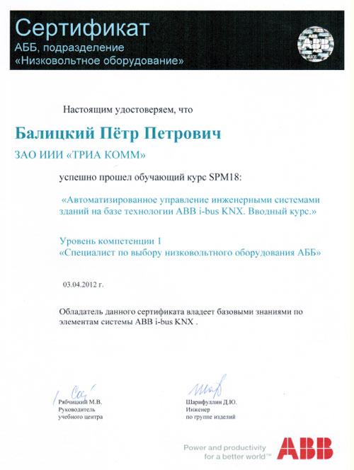 Сертификат инженера-электрика Петра Балицкого