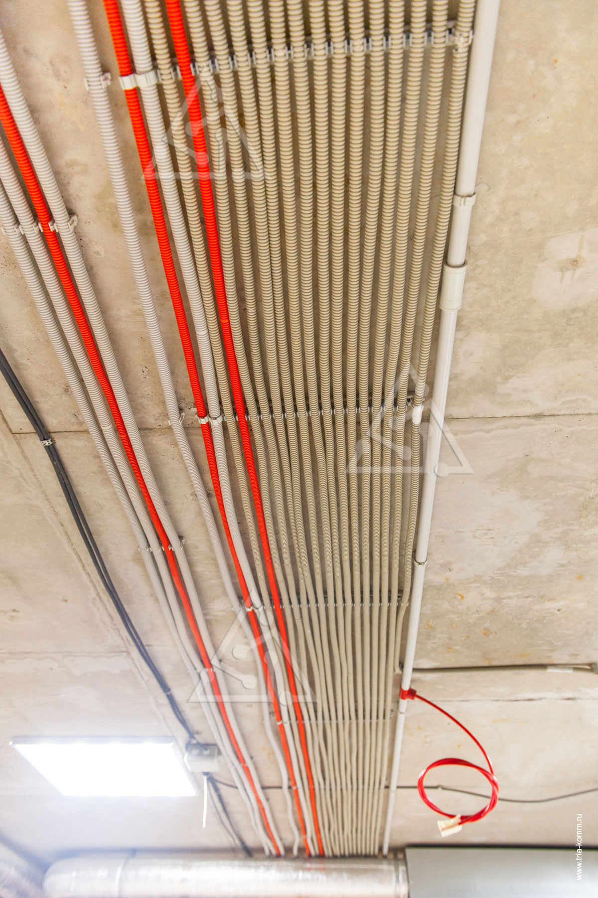 Фото монтажа электрокабелей на монтажных планках и труб аспирационной системы на потолке